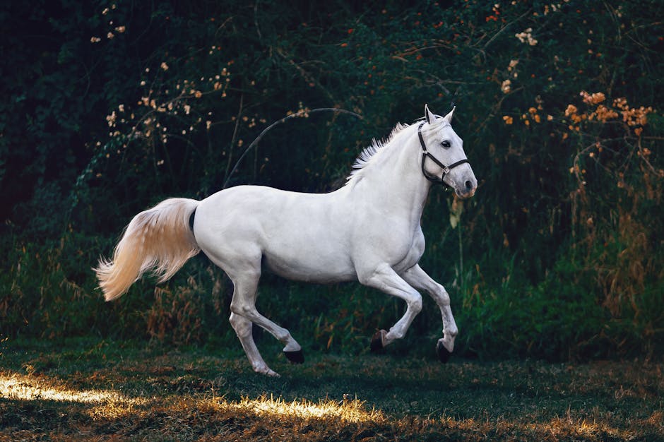 un cheval