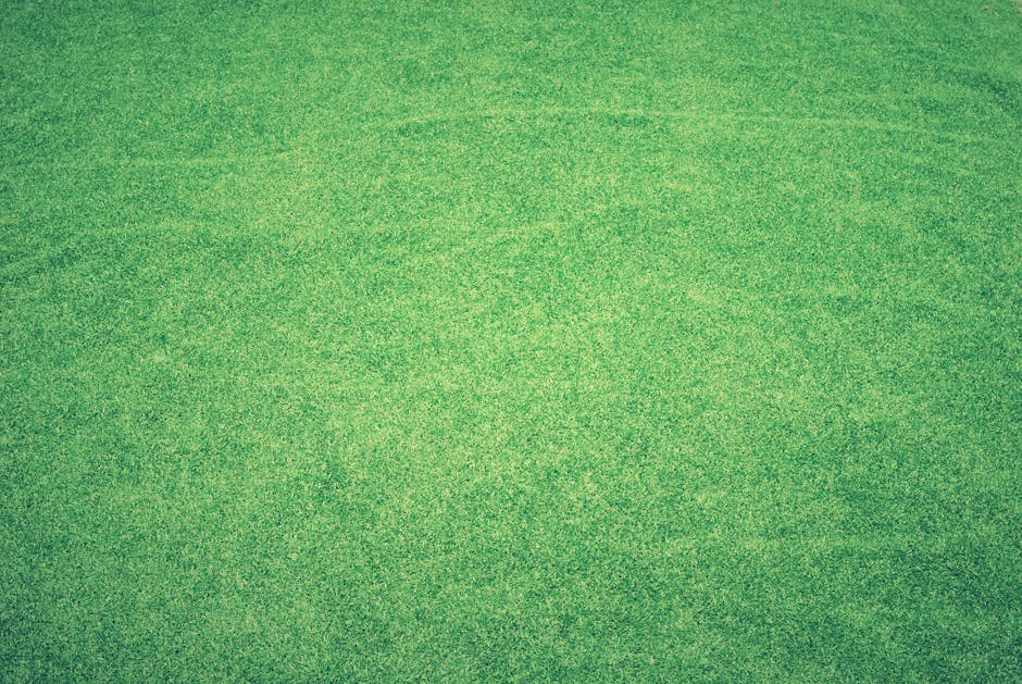 vert