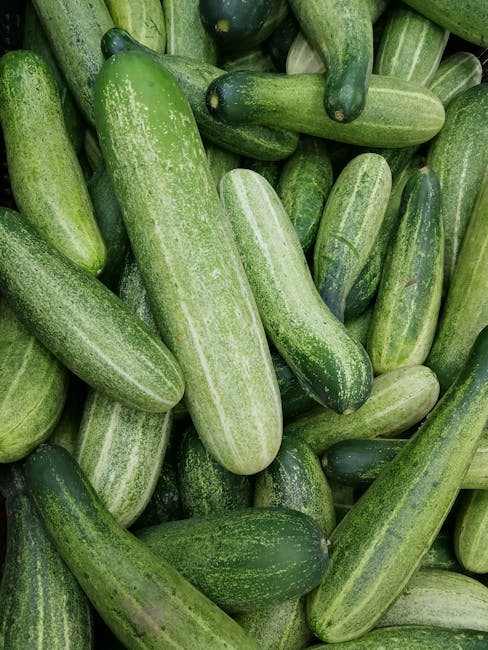un concombre