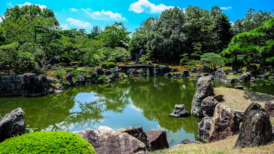 un jardin