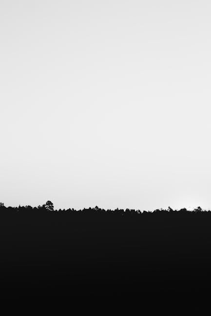 cinquante