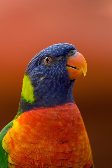 un oiseau