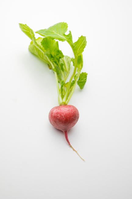 un radis