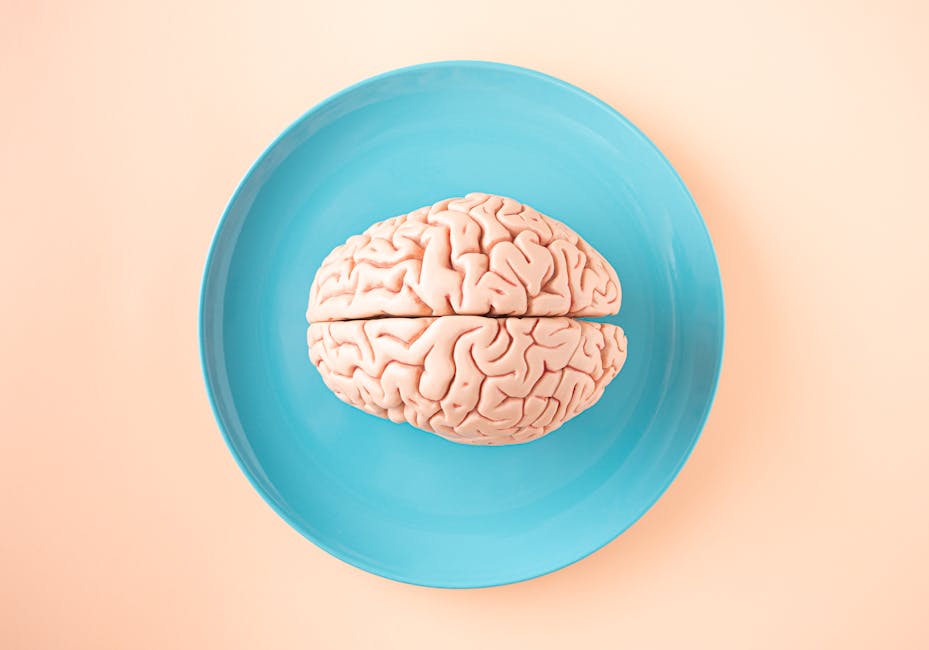 le cerveau