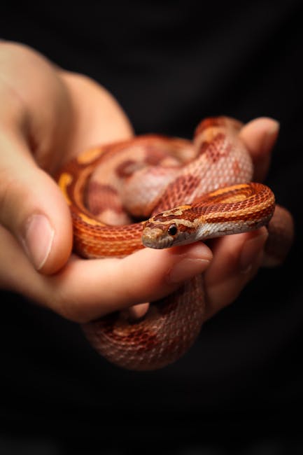 un serpent