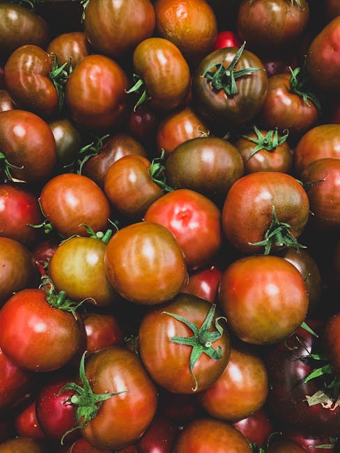 une tomate